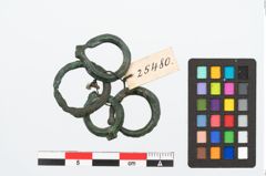 Foto von Bronzering (NHMW-PRAE-025480)